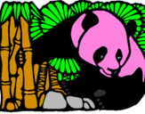 Disegno Orso panda con bambù  pitturato su nika