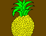 Disegno ananas  pitturato su ELENA