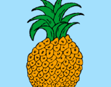 Disegno ananas  pitturato su Ila