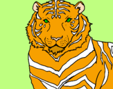 Disegno Tigre pitturato su Marzia