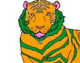 Disegno Tigre pitturato su francesco