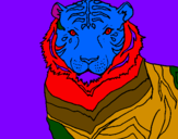Disegno Tigre pitturato su marco