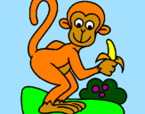 Disegno Scimmietta  pitturato su virginia