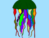 Disegno Medusa  pitturato su giovanni