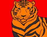 Disegno Tigre pitturato su aletaur