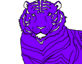 Disegno Tigre pitturato su lisi