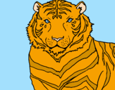 Disegno Tigre pitturato su Tarnjeet