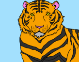 Disegno Tigre pitturato su LEONARDO