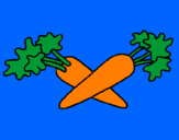Disegno carote  pitturato su ILEANA