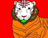 Disegno Tigre pitturato su lucrezia