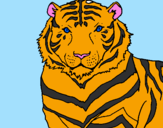 Disegno Tigre pitturato su francesc liliano