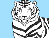 Disegno Tigre pitturato su sonny