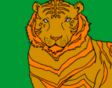 Disegno Tigre pitturato su luigi mio