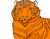Disegno Tigre pitturato su roby