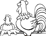 Disegno Gallo e gallina  pitturato su IO