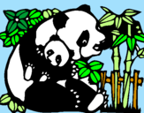 Disegno Mamma panda  pitturato su sonny
