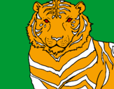 Disegno Tigre pitturato su ALEX