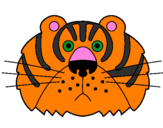 Disegno Tigre III pitturato su nicol