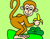 Disegno Scimmietta  pitturato su alan   luis