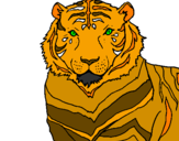 Disegno Tigre pitturato su andrea