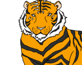 Disegno Tigre pitturato su thomas