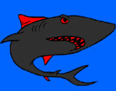 Disegno Squalo pitturato su lo squalo