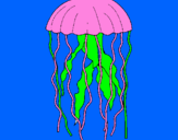 Disegno Medusa  pitturato su Giulia  corrao