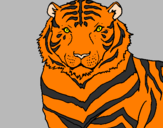 Disegno Tigre pitturato su Christian