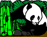 Disegno Orso panda con bambù  pitturato su LEONARDO