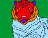 Disegno Tigre pitturato su fr