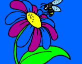 Disegno Margherita con ape  pitturato su 18