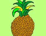 Disegno ananas  pitturato su riccardo  30