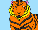 Disegno Tigre pitturato su Giuseppe