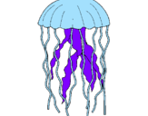 Disegno Medusa  pitturato su m