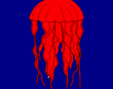 Disegno Medusa  pitturato su rub