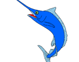 Disegno Pesce spada  pitturato su marlin