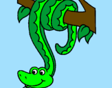 Disegno Serpente avvinghiata ad un albero  pitturato su roberta