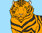 Disegno Tigre pitturato su shakira