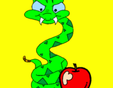 Disegno Serpente con la mela  pitturato su irene
