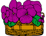Disegno Paniere di fiori 12 pitturato su violette