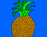 Disegno ananas  pitturato su samuelematteo