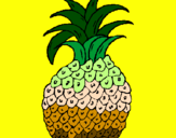 Disegno ananas  pitturato su SILVIA