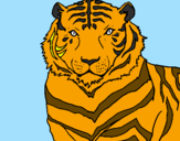 Disegno Tigre pitturato su matteo