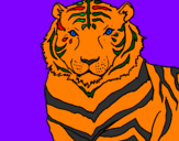 Disegno Tigre pitturato su Gasper
