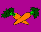 Disegno carote  pitturato su irene