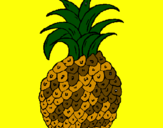 Disegno ananas  pitturato su anto e ginni