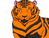 Disegno Tigre pitturato su miryam