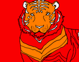 Disegno Tigre pitturato su federico