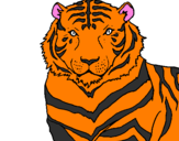 Disegno Tigre pitturato su ARIANNA
