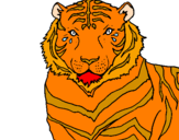 Disegno Tigre pitturato su inter